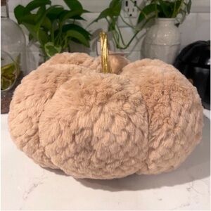 Cupcakes & Cashmere Velvet Chenille Fall Cream Thanksgiving Pumpkin